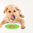 Castron plastic Slow Eating 15 CM