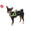 Ham caini COMFORT nylon moale 58-66cm L Verde