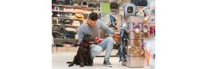 Cum sa iti deschizi un magazin PET SHOP in 2025.