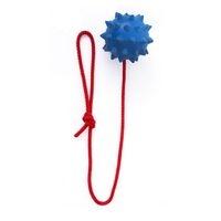 Minge cauciuc tepi cu sfoara, L 9/60 cm