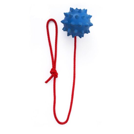 Minge cauciuc tepi cu sfoara, L 9/60 cm