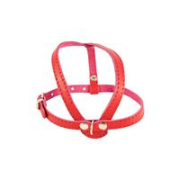 Ham caini mici piele naturala Nr.1 Rosu 1.4 x 36-47 cm PETRO