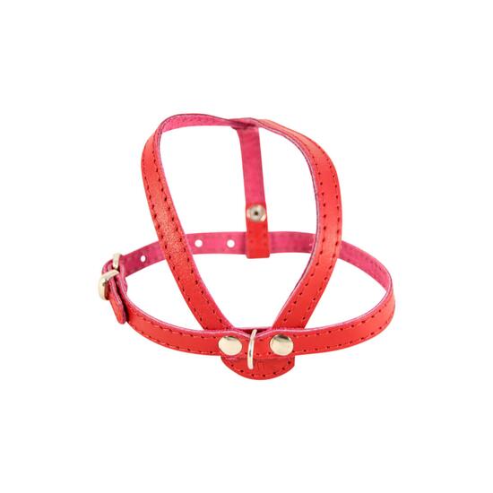 Ham caini mici piele naturala Nr.1 Rosu 1.4 x 36-47 cm PETRO
