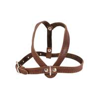 Ham caini mici piele naturala Nr.1 Maro 1.4 x 36-47 cm PETRO
