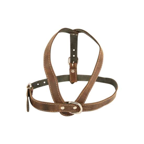 Ham caini medie piele naturala Nr.3 Maro 2.4 x 61-78cm PETRO