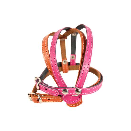 Ham caini mici piele naturala Nr.0 Color 1 x 27-37 cm PETRO