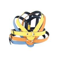 Ham caini medii piele naturala Nr.2 Color 2 x 45-60cm PETRO
