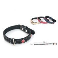 Zgarda pentru caini HUELLA 1.5x38cm