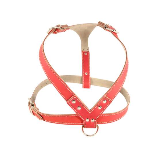 Ham caini mari piele naturala Nr.4 Rosu 3 x 69-87cm PETRO