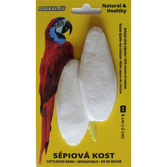 Os sepie cca 8 cm 2 buc/set