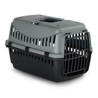 Cusca transport plastic GIPSY L 58x38x38