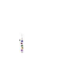 Jucarie pasari mix CCSP126-6