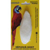 Os sepie cca 12 cm 1 buc