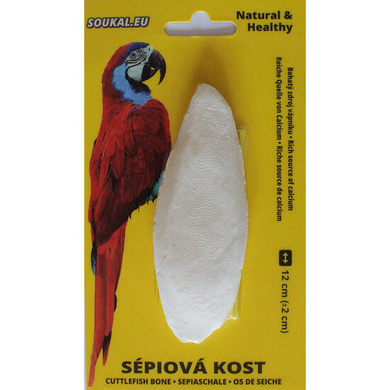 Os sepie cca 12 cm 1 buc