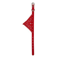 Zgarda cu bandana caini 1.5x35 cm Rosie PETRO