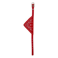 Zgarda pentru caini, pisici cu bandana 1x30cm Rosie PETRO